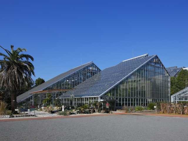 国立科学博物館筑波実験植物園