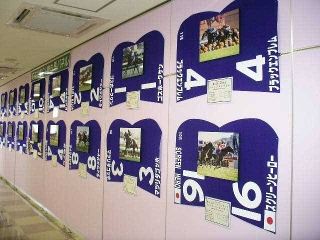 窓越しに調教風景が見られるチャンスがある「JRA美浦トレーニング・センター」