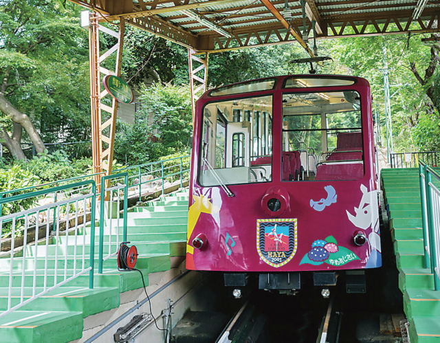 【神戸×夜景×摩耶山】アクセス情報