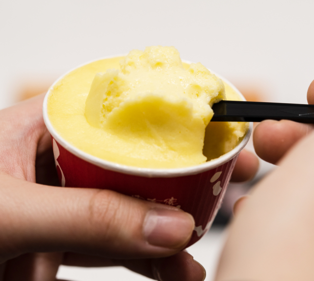 トロッとした食感のチーズケーキ「由布院Milch」