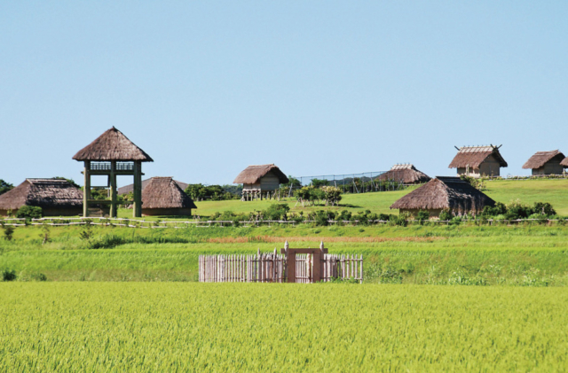 【長崎・壱岐×観光③】古代の文化にふれる「原の辻一支国王都復元公園」