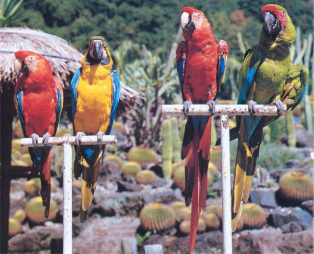 長崎鼻パーキングガーデン