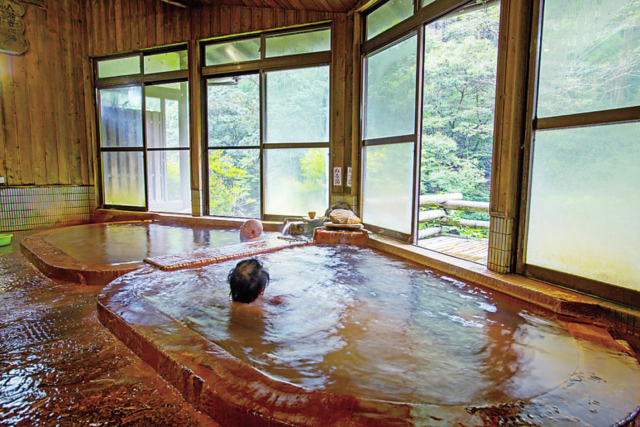 【霧島×グルメ&カフェ】日の出温泉きのこの里 喫茶たんぽぽ