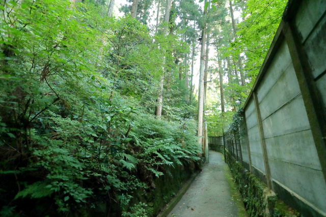 【1泊2日の箱根観光モデルコース】チャップリンの散歩道