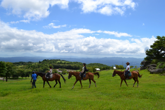 霧島アート牧場