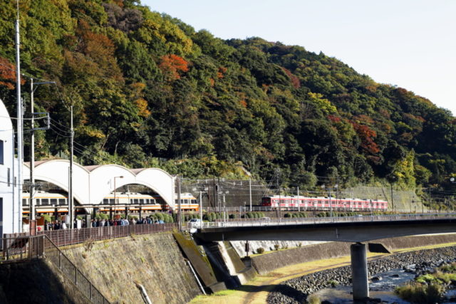 箱根湯本の半日観光【ここからスタート】あじさい橋