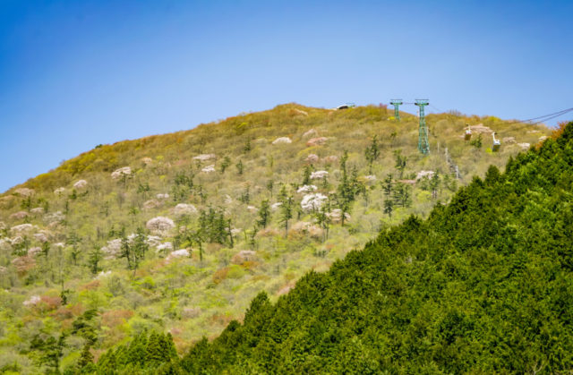 【大分観光のおすすめモデルコース】別府・由布院・日田をドライブ!1日目