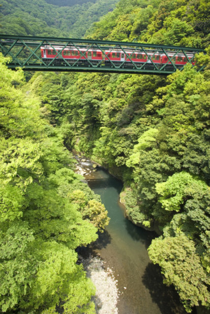 【箱根登山電車×絶景ポイント】出山信号場