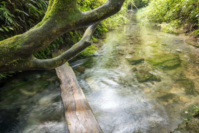 【霧島×観光】豊かな量の水は名水中の名水と評判「大出水の湧水」