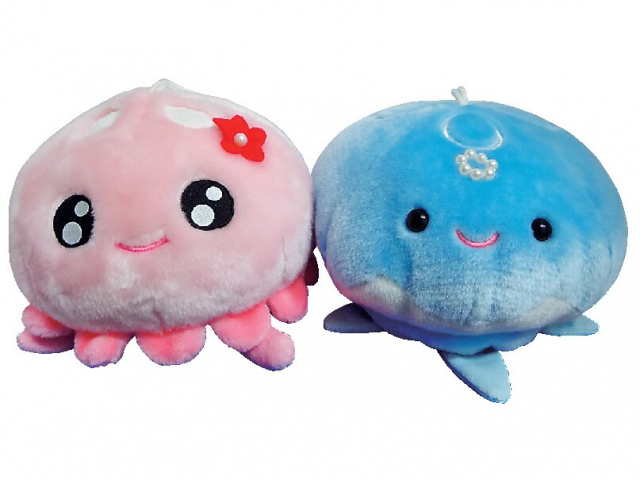 みやげをGET!「アクアショップきらら」