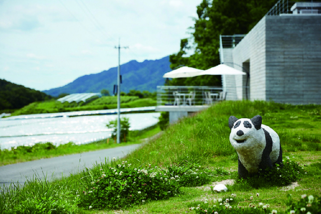 【新見×観光】山間のぶどう畑から始まった岡山発のワイナリー「domaine tetta」