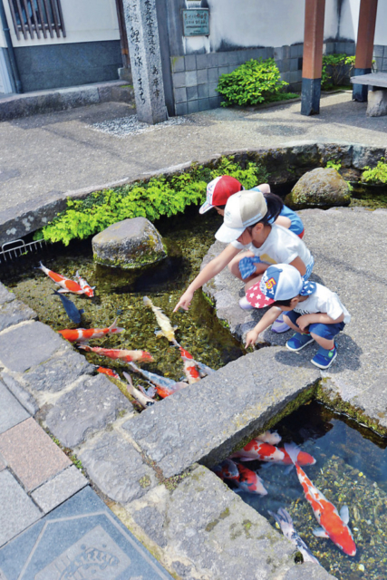 【島原×観光④】水の都・島原を物語る通り「鯉の泳ぐまち」