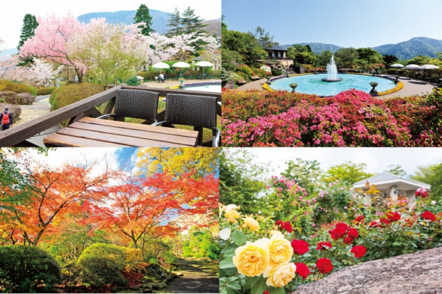 【強羅で人気の観光スポット】箱根強羅公園