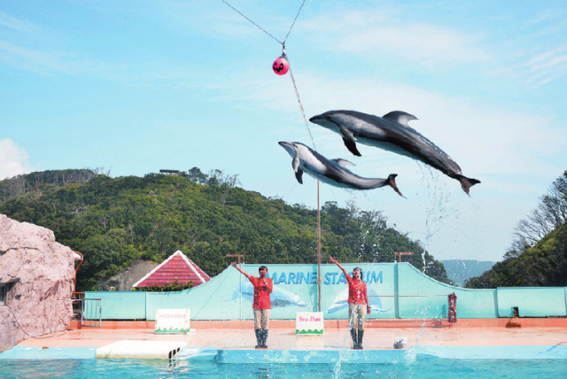 マリンスタジアム