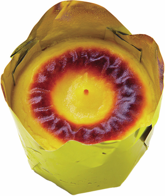 【鹿児島土産×さつまいもスイーツ】フェスティバロ