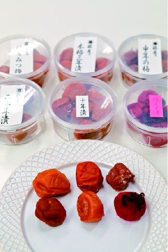 【箱根湯本駅前×お土産ストリート】藤屋商店