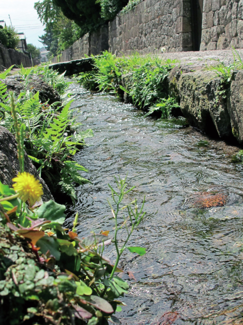 【島原×観光②】水のせせらぎを聞きながら歴史散策「武家屋敷」