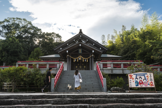 伊豆高原で観光するならこちら!人気のおすすめ見どころ・グルメスポットをご紹介!