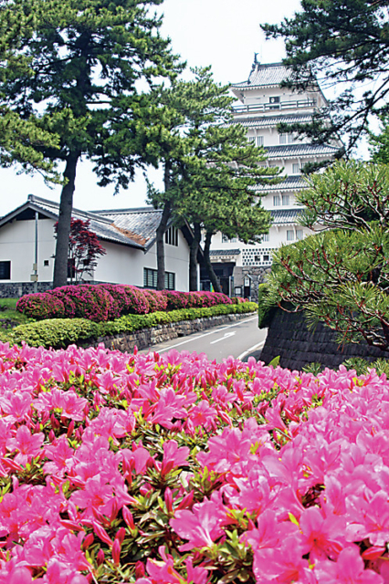 季節ごとの美景