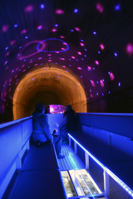 2つのトンネルをくぐって…