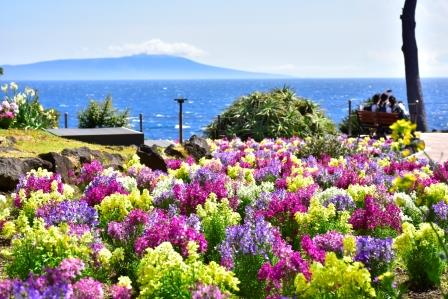 ニューヨークランプミュージアム&フラワーガーデン