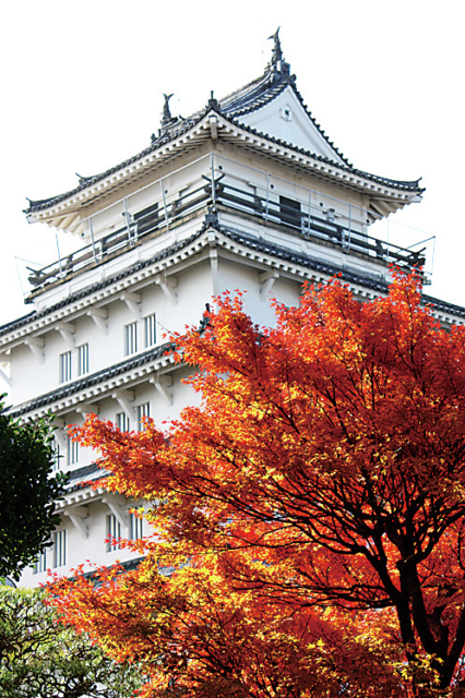 季節ごとの美景