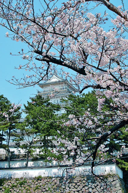 季節ごとの美景