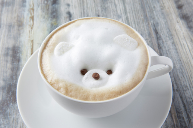 こちらを見つめるつぶらな瞳がかわいらし過ぎ!「SANDECO COFFEE 数学カフェ」