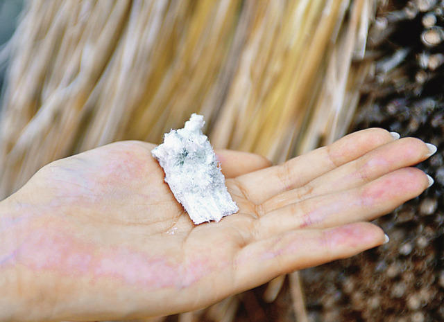 【別府温泉×八湯スポット】湯の花小屋が立ち並ぶ湯の花の里「みょうばん湯の里」