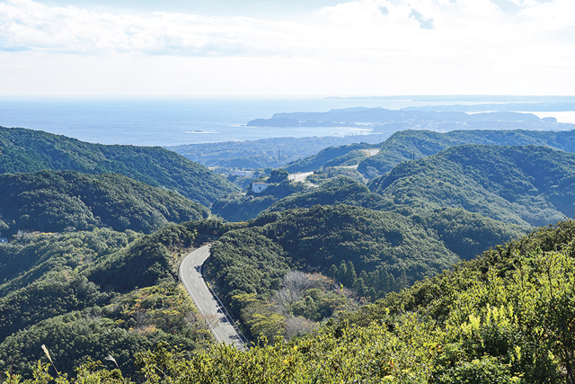 パールロードをドライブ