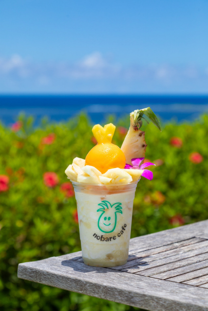 のばれ岬観光農園