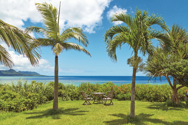 パイナップル畑と美しい海に癒される「のばれ岬観光農園」