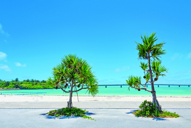 【宮古島5島ドライブ】みやこサンセットビーチ(宮古島)