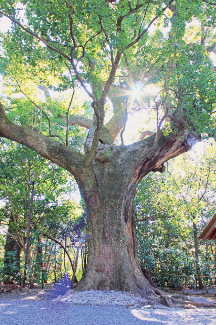 月夜見宮(つきよみのみや)