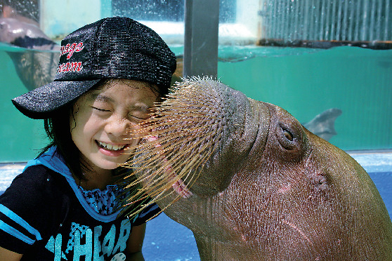 伊勢夫婦岩ふれあい水族館シーパラダイス