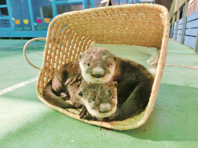 ここがおすすめ!