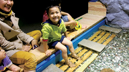 ここがおすすめ!