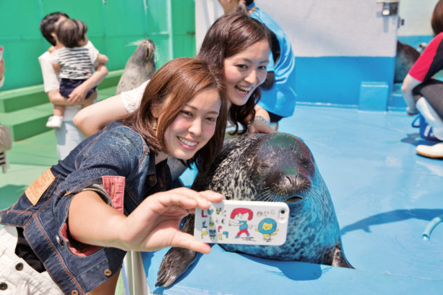 ここがおすすめ!