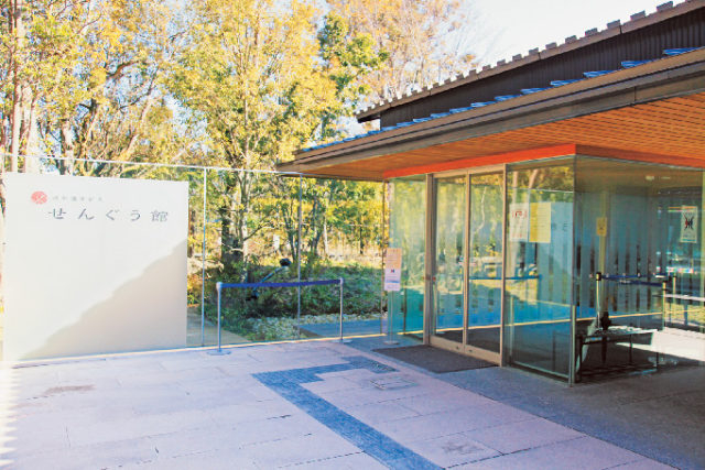 せんぐう館
