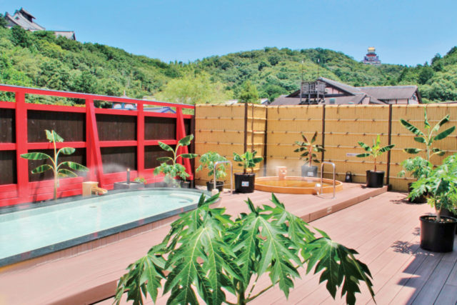 ともいきの国 伊勢忍者キングダム