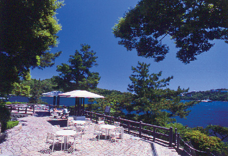 ミキモト真珠島 基本情報