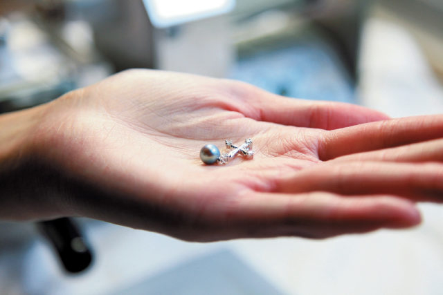 真珠取り出し&アクセサリー作り体験