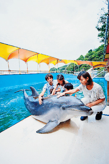 こちらも注目!立ち寄りスポット イルカ島