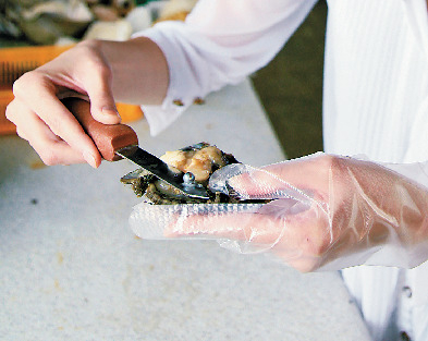 真珠取り出し&アクセサリー作り体験