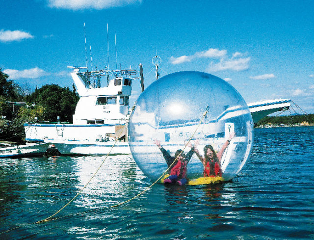 ウォーターボール