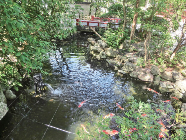 子宝に恵まれるご利益を授かろう「猿田彦神社の子宝池」