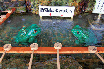 満願蛙に願いを込めて