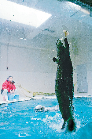 ラッコのお食事タイム