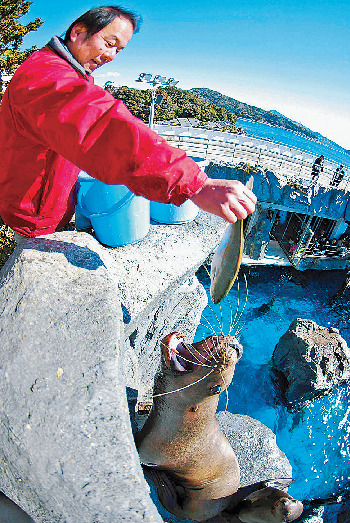 海獣の王国お食事タイム