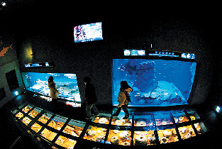 鳥羽水族館の古代の海をチェック!